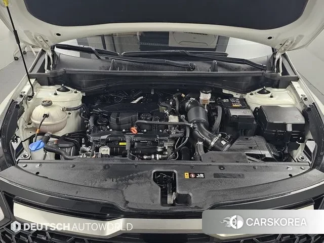 Kia Sportage 5th Generation id 3770437 из Кореи 16