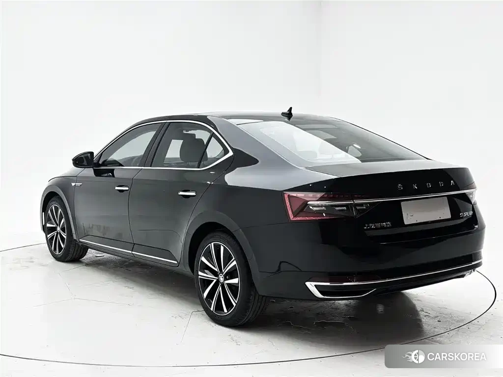Skoda Speed pie id 4578276 из Китая 20