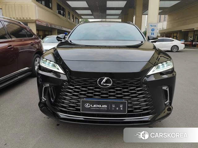 Lexus RX id 4314073 из Китая 14