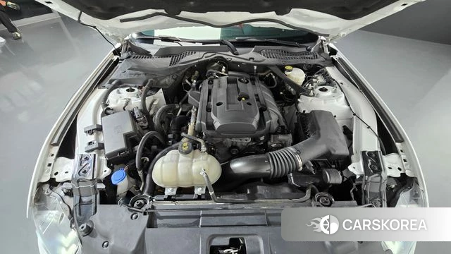 Ford Mustang id 4836148 из Кореи 31