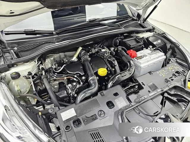 Renault Korea (Samsung) Clio id 3429007 из Кореи 16