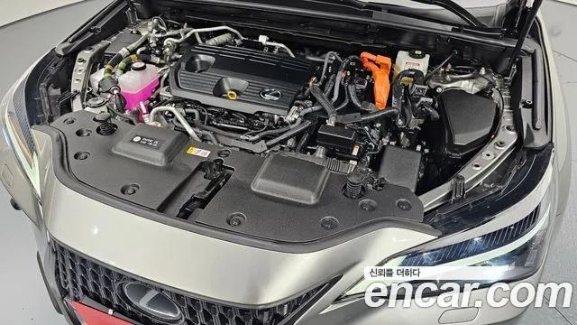 Lexus NX450h + 2nd generation id 2878893 из Кореи 16