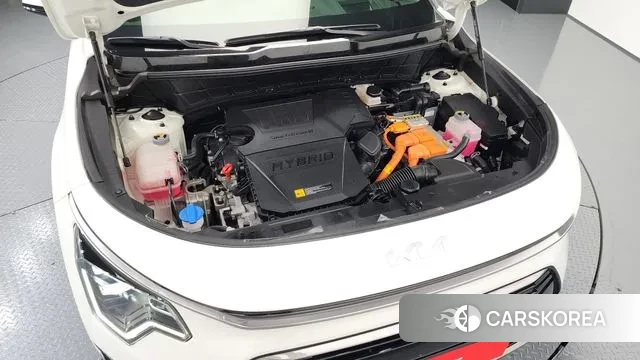 Kia Di Ol Nu Niro id 3566298 из Кореи 16