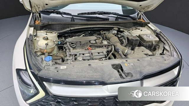 Kia Sportage 5th Generation id 4187246 из Кореи 24