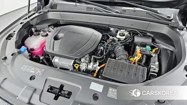 Renault Korea (Samsung) Grand Coleos id 3081426 из Кореи 16