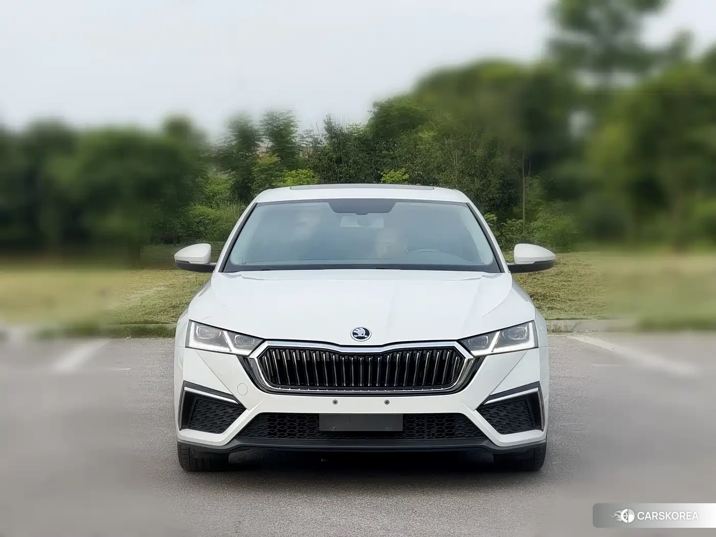 Skoda Octavia id 4548245 из Китая 12