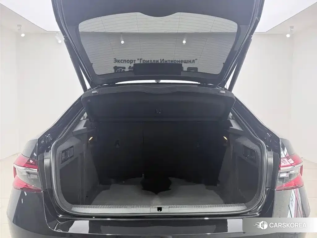Skoda Speed pie id 4548303 из Китая 11