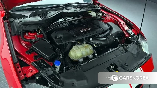 Ford Mustang id 3479037 из Кореи 16