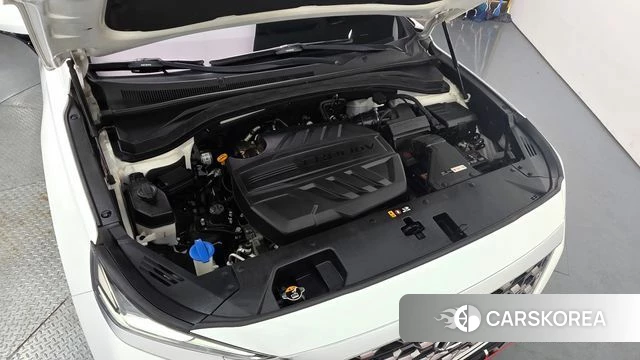 Hyundai Santa Fe TM id 4520244 из Кореи 30