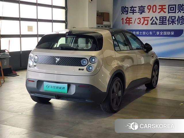 firefly firefly Unknown 2025 Шампань из Китая, фото 6