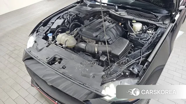 Ford Mustang id 3196284 из Кореи 16