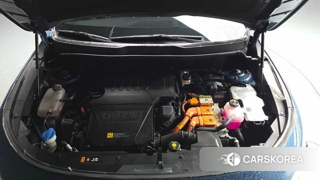 Kia Di Ol Nu Niro id 4754054 из Кореи 16