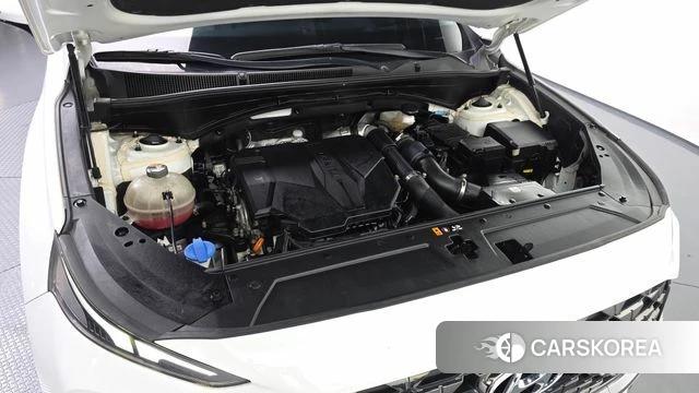 Hyundai The New Santa Fe id 4389667 из Кореи 32