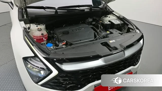 Kia Sportage 5th Generation id 2925411 из Кореи 16