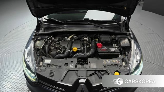 Renault Korea (Samsung) Clio id 4776410 из Кореи 16