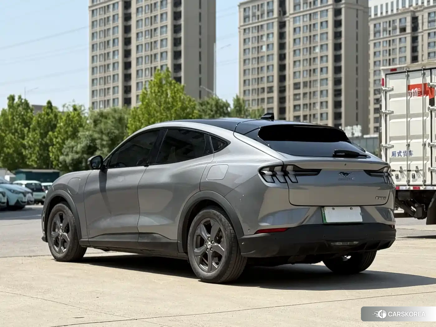 Ford Electric horse 2022 Silver/gray из Китая, фото 6