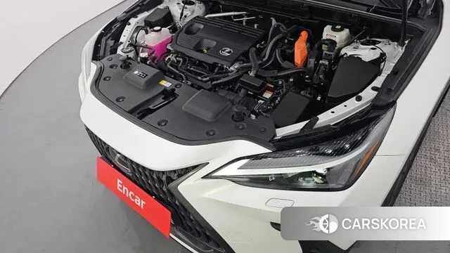 Lexus NX350h Second generation id 3700834 из Кореи 16