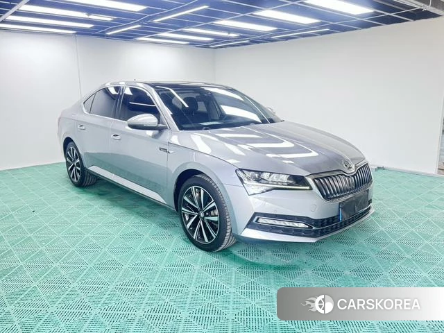 Skoda Speed pie id 4392048 из Китая 22
