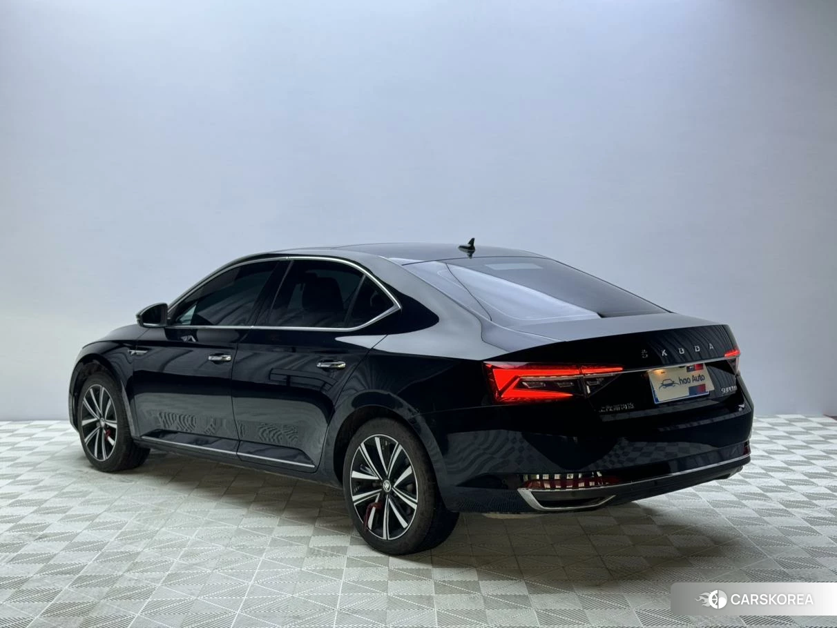 Skoda Speed pie id 4486470 из Китая 8
