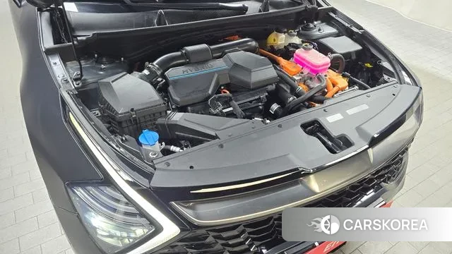 Kia Sportage 5th Generation Hybrid id 3174512 из Кореи 16