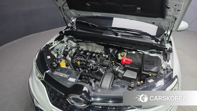 Renault Korea (Samsung) XM3 id 4468949 из Кореи 29