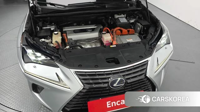 Lexus NX300h id 4397730 из Кореи 16