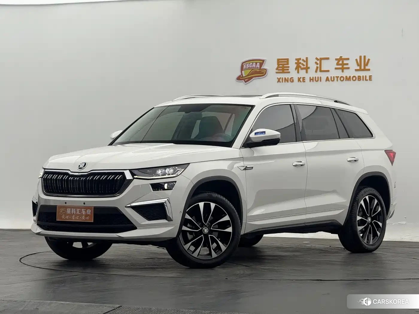 Skoda Kodiak id 4546503 из Китая 13