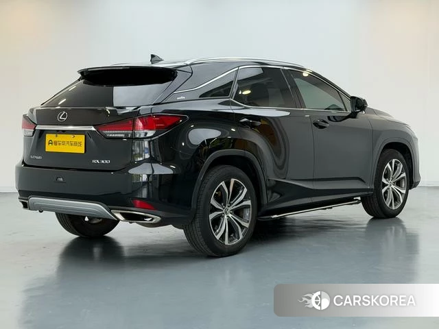 Lexus RX id 4392138 из Китая 16