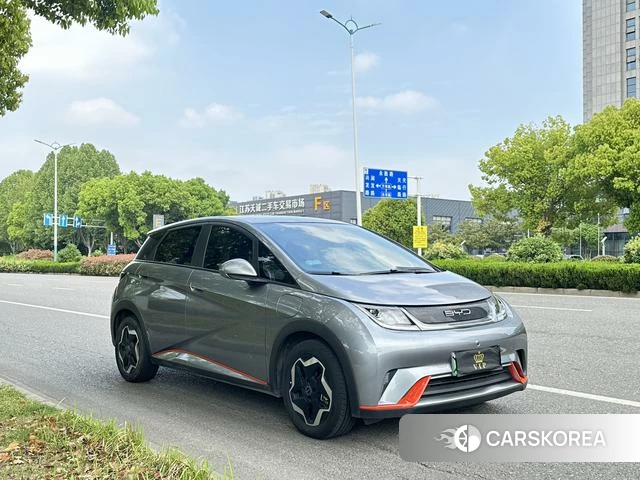 BYD dolphin id 3983308 из Китая 13