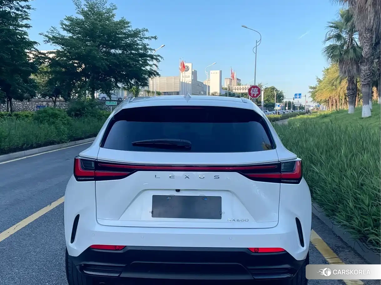 Lexus NX 2022 Белый из Китая, фото 6