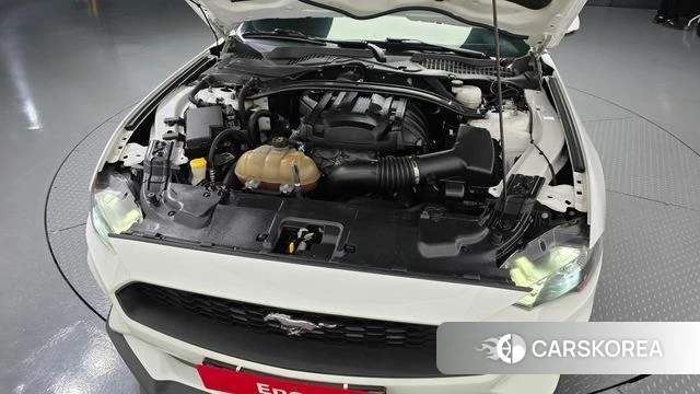 Ford Mustang id 4310497 из Кореи 28