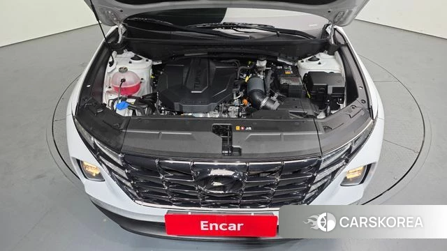 Hyundai Tucson (NX4) id 3813075 из Кореи 16