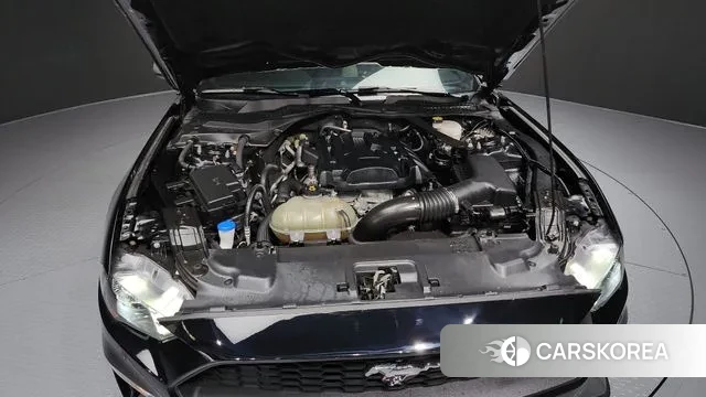 Ford Mustang id 3427601 из Кореи 16