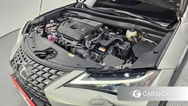 Lexus UX300h id 3731811 из Кореи 16