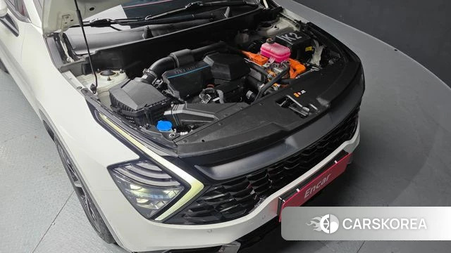 Kia Sportage 5th Generation Hybrid id 3786872 из Кореи 16