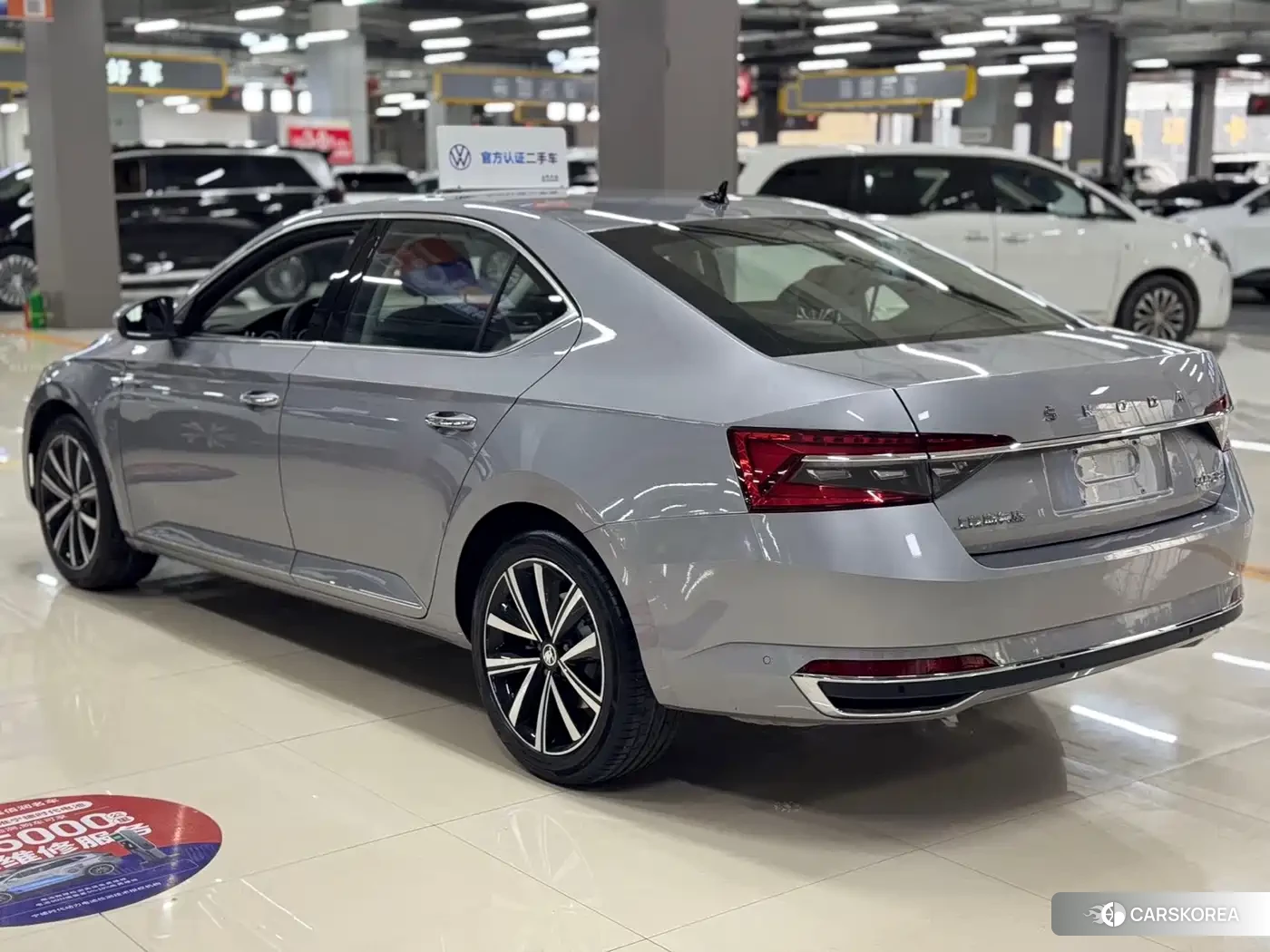 Skoda Speed pie id 4538747 из Китая 9