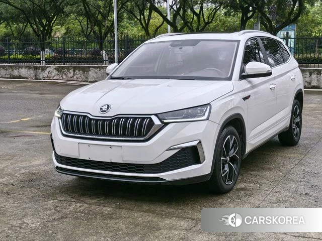 Skoda Komik GT id 4392042 из Китая 10