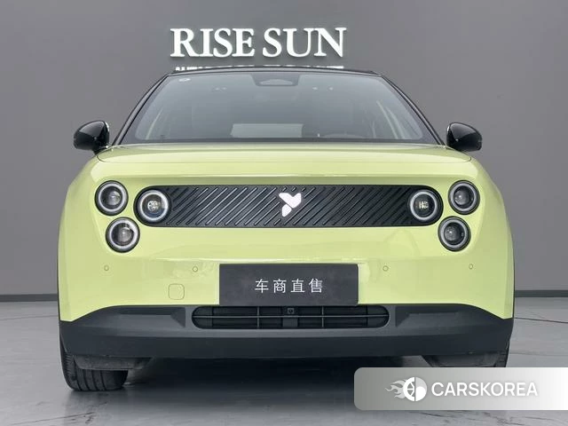 firefly firefly Unknown id 4198964 из Китая 11