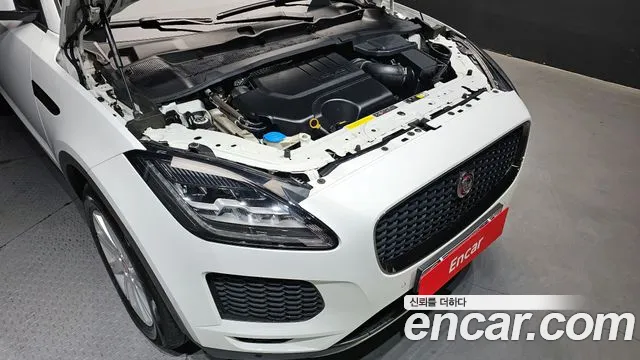 Jaguar E-PACE id 2651822 из Кореи 16