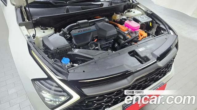 Kia Sportage 5th Generation Hybrid id 2738128 из Кореи 16