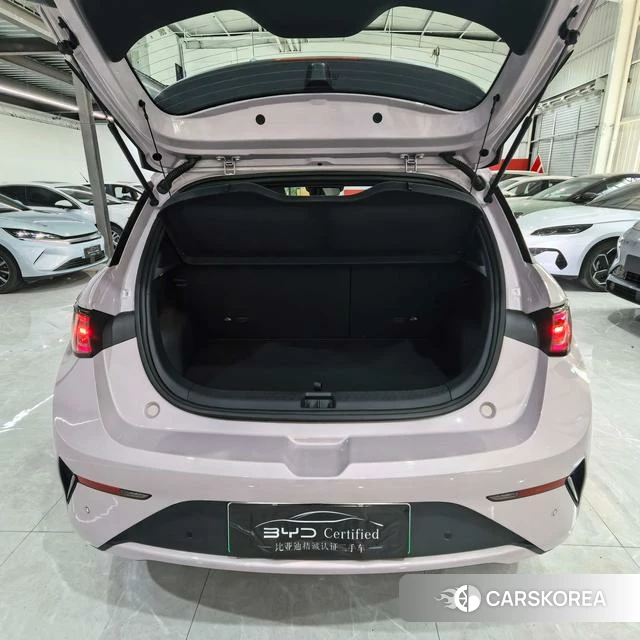 BYD dolphin id 3909015 из Китая 8