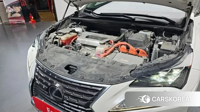 Lexus NX300h id 3692657 из Кореи 16