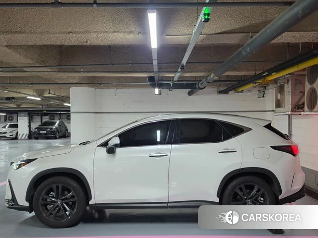 Lexus NX350h Second generation 2025 Белый из Кореи, фото 6