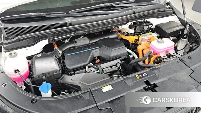 Kia The New Carnival 4th Generation id 3669970 из Кореи 16