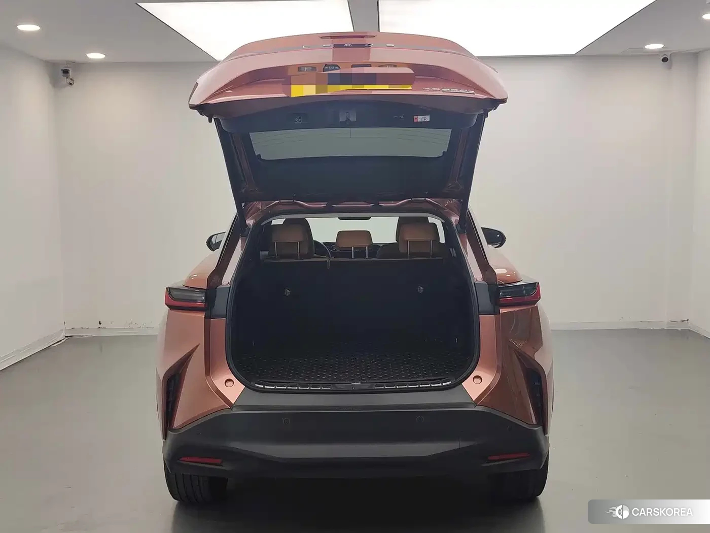 Lexus RZ id 4599753 из Китая 15