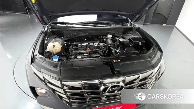 Hyundai Tucson (NX4) id 3611123 из Кореи 16