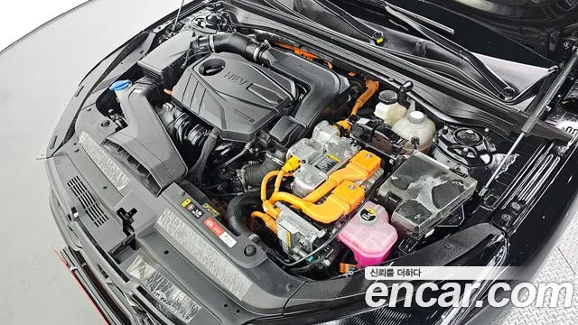 Kia K5 Hybrid 3rd Generation id 2597765 из Кореи 16