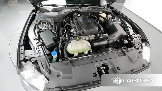 Ford Mustang id 4316628 из Кореи 29