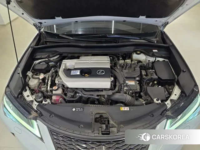 Lexus UX250h id 3522528 из Кореи 13