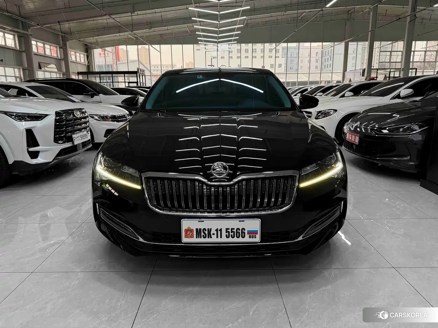 Skoda Speed pie id 4570368 из Китая 16